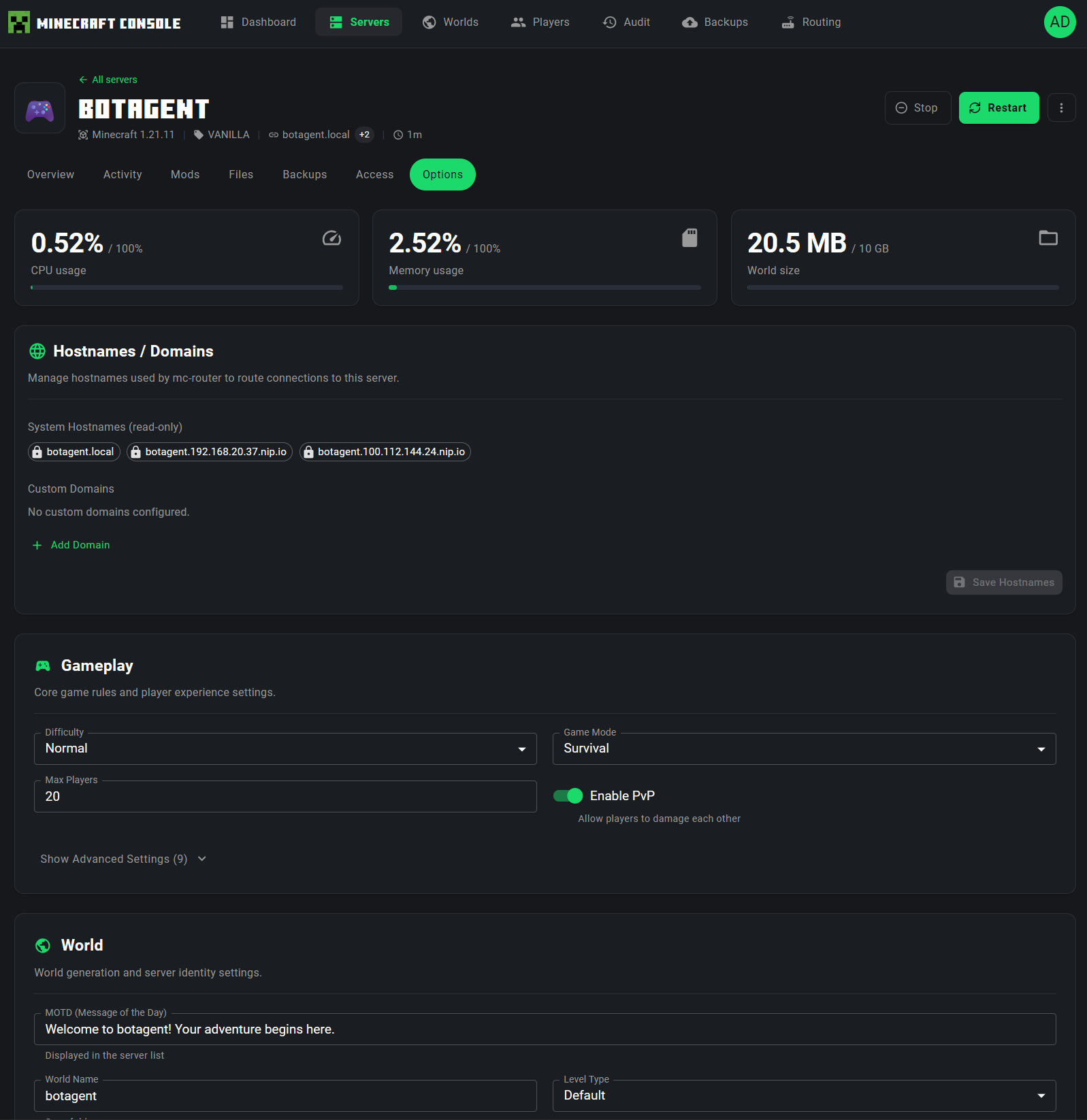Server Options